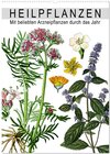 Buchcover Heilpflanzen (Wandkalender 2025 DIN A2 hoch), CALVENDO Monatskalender