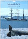 Buchcover Segelträume in der Antarktis (Wandkalender 2025 DIN A4 hoch), CALVENDO Monatskalender