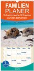 Buchcover Familienplaner 2025 - Schwimmende Schweine auf den Bahamas! mit 5 Spalten (Wandkalender, 21 x 45 cm) CALVENDO