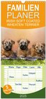 Buchcover Familienplaner 2025 - IRISH SOFT COATED WHEATEN TERRIER mit 5 Spalten (Wandkalender, 21 x 45 cm) CALVENDO