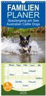 Buchcover Familienplaner 2025 - Spaziergang am See Australian Cattle Dogs mit 5 Spalten (Wandkalender, 21 x 45 cm) CALVENDO