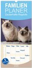 Buchcover Familienplaner 2025 - Zauberhafte Ragdolls mit 5 Spalten (Wandkalender, 21 x 45 cm) CALVENDO