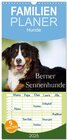 Buchcover Familienplaner 2025 - Berner Sennenhunde mit 5 Spalten (Wandkalender, 21 x 45 cm) CALVENDO