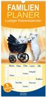 Buchcover Familienplaner 2025 - Lustiger Katzenkalender mit 5 Spalten (Wandkalender, 21 x 45 cm) CALVENDO