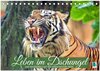 Buchcover Leben im Dschungel: Der Regenwald ist ein Paradies für Tiere (Tischkalender 2025 DIN A5 quer), CALVENDO Monatskalender