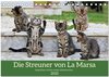 Buchcover Die Streuner von La Marsa (Tischkalender 2025 DIN A5 quer), CALVENDO Monatskalender