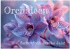 Buchcover Orchideen - farbenfroh durchs Jahr (Wandkalender 2025 DIN A3 quer), CALVENDO Monatskalender