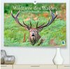 Buchcover Wildtiere des Waldes: Hier wird der Mythos Wald lebendig (hochwertiger Premium Wandkalender 2025 DIN A2 quer), Kunstdruc