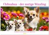 Buchcover Chihuahua - der mutige Winzling (Wandkalender 2026 DIN A3 quer), CALVENDO Monatskalender