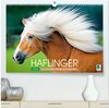 Buchcover Haflinger: Die blonden Pferde von der Alm (hochwertiger Premium Wandkalender 2026 DIN A2 quer), Kunstdruck in Hochglanz