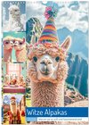 Buchcover Witzige Alpakas (Wandkalender 2026 DIN A3 hoch), CALVENDO Monatskalender