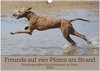 Buchcover Freunde auf vier Pfoten am Strand (Wandkalender 2026 DIN A3 quer), CALVENDO Monatskalender
