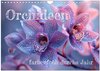 Buchcover Orchideen - farbenfroh durchs Jahr (Wandkalender 2026 DIN A4 quer), CALVENDO Monatskalender