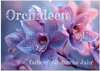 Buchcover Orchideen - farbenfroh durchs Jahr (Wandkalender 2026 DIN A2 quer), CALVENDO Monatskalender