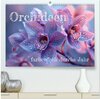 Buchcover Orchideen - farbenfroh durchs Jahr (hochwertiger Premium Wandkalender 2026 DIN A2 quer), Kunstdruck in Hochglanz