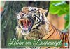 Buchcover Leben im Dschungel: Der Regenwald ist ein Paradies für Tiere (Wandkalender 2026 DIN A2 quer), CALVENDO Monatskalender