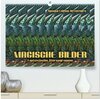 Buchcover Magische Bilder - fantastische Stereogramme (hochwertiger Premium Wandkalender 2026 DIN A2 quer), Kunstdruck in Hochglan