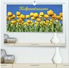 Buchcover Tulpentraum (hochwertiger Premium Wandkalender 2026 DIN A2 quer), Kunstdruck in Hochglanz