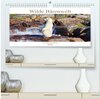 Buchcover Wilde Bärenwelt (hochwertiger Premium Wandkalender 2026 DIN A2 quer), Kunstdruck in Hochglanz