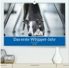 Buchcover Das erste Whippet-Jahr (hochwertiger Premium Wandkalender 2026 DIN A2 quer), Kunstdruck in Hochglanz