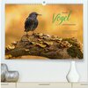 Buchcover Bunte Vögel am Futterplatz (hochwertiger Premium Wandkalender 2026 DIN A2 quer), Kunstdruck in Hochglanz