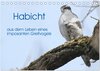 Buchcover Habicht - aus dem Leben eines imposanten Greifvogels (Tischkalender 2026 DIN A5 quer), CALVENDO Monatskalender