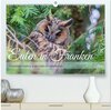 Buchcover Eulen in Franken (hochwertiger Premium Wandkalender 2026 DIN A2 quer), Kunstdruck in Hochglanz