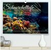 Buchcover Schnorcheltiefe (hochwertiger Premium Wandkalender 2026 DIN A2 quer), Kunstdruck in Hochglanz