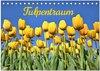 Buchcover Tulpentraum (Tischkalender 2026 DIN A5 quer), CALVENDO Monatskalender