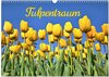 Buchcover Tulpentraum (Wandkalender 2026 DIN A3 quer), CALVENDO Monatskalender