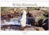 Buchcover Wilde Bärenwelt (Wandkalender 2026 DIN A4 quer), CALVENDO Monatskalender