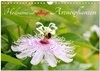 Buchcover Heilsame und giftige Arzneipflanzen (Wandkalender 2026 DIN A4 quer), CALVENDO Monatskalender