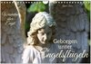 Buchcover Geborgen unter Engelsflügeln (Wandkalender 2026 DIN A4 quer), CALVENDO Monatskalender