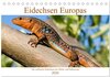 Buchcover Eidechsen Europas (Tischkalender 2026 DIN A5 quer), CALVENDO Monatskalender