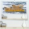 Buchcover Lustige Eisbären (hochwertiger Premium Wandkalender 2026 DIN A2 quer), Kunstdruck in Hochglanz