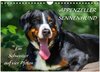 Buchcover Appenzeller Sennenhund - Ein Schweizer auf 4 Pfoten (Wandkalender 2026 DIN A4 quer), CALVENDO Monatskalender