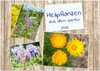 Buchcover Heilpflanzen aus dem Garten (Wandkalender 2026 DIN A3 quer), CALVENDO Monatskalender