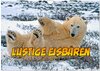Buchcover Lustige Eisbären (Wandkalender 2026 DIN A4 quer), CALVENDO Monatskalender