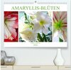 Buchcover Amaryllis-Blüten (hochwertiger Premium Wandkalender 2026 DIN A2 quer), Kunstdruck in Hochglanz