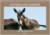Buchcover Kunterbunte Eselwelt - Liebenswerte Langohren (Tischkalender 2026 DIN A5 quer), CALVENDO Monatskalender