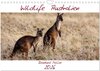 Buchcover Wildlife Australien (Wandkalender 2026 DIN A4 quer), CALVENDO Monatskalender