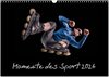 Buchcover Momente des Sport (Wandkalender 2026 DIN A3 quer), CALVENDO Monatskalender