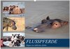 Buchcover Hippos im südlichen Afrika (Wandkalender 2026 DIN A2 quer), CALVENDO Monatskalender