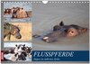 Buchcover Hippos im südlichen Afrika (Wandkalender 2026 DIN A4 quer), CALVENDO Monatskalender