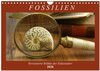 Buchcover Fossilien - Versteinerte Relikte der Erdzeitalter (Wandkalender 2026 DIN A4 quer), CALVENDO Monatskalender