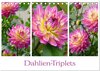 Buchcover Dahlien-Triplets (Tischkalender 2026 DIN A5 quer), CALVENDO Monatskalender