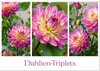 Buchcover Dahlien-Triplets (Wandkalender 2026 DIN A3 quer), CALVENDO Monatskalender