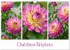Buchcover Dahlien-Triplets (Wandkalender 2026 DIN A4 quer), CALVENDO Monatskalender