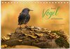 Buchcover Bunte Vögel am Futterplatz (Tischkalender 2026 DIN A5 quer), CALVENDO Monatskalender