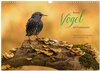Buchcover Bunte Vögel am Futterplatz (Wandkalender 2026 DIN A3 quer), CALVENDO Monatskalender